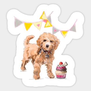 Birthday Cockapoo Sticker